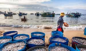 CAI Beo Fishing Village是越南最古老的渔村,仍然保留了悠久的文化价值观和迄今为止既传统又现代的原始美丽。