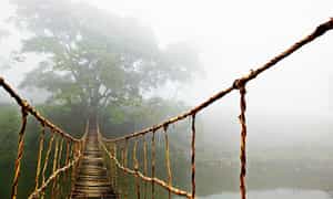 Cầu Mây thuộc bản Tả Van, cách trung tâm thị xã Sapa hơn 10km về phía Đông Nam.