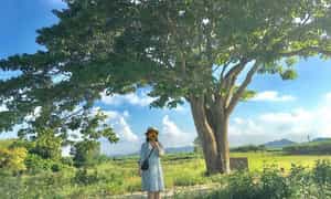 Làng Hà Cảng thuộc xã Quảng Phú, huyện Quảng Điền, tỉnh Thừa Thiên Huế.