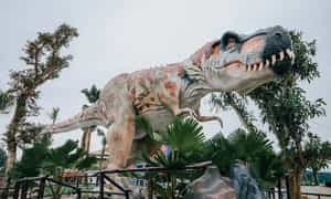 这个Ninh Binh旅游目的地中的恐龙从形态，大小到类型都非常多样化