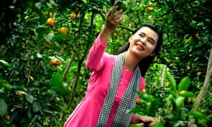 잘 익은 딸기가있는 Lai Vung Tangerine Gardens는 당신이 즐기기를 기다리고 있습니다.