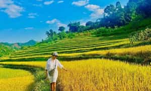 Về với sự bình yên nơi Chiềng Cọ êm lành.