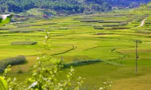 Bức tranh nên thơ, trữ tình đậm đà vẻ đẹp Tây Bắc.