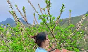 Ở Chiềng Cọ, bạn sẽ tìm thấy nhịp sống chậm rãi, an yên, không xô bồ ồn ã như nơi phố thị