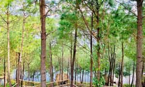 位于Bo Trach区Cu Nam Commune的Hoa Son Village的Happy Hills Quang Binh距Phong Nha约10公里。
