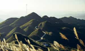 该地区距离1297里程碑的攀登点100-200m,后面的整山都在开花。