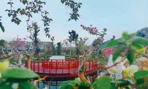 Ho Thien Canh具有诗意的自然美,肯定是背景登机手续,无法忽略运营节