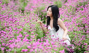 Nét tươi tắn của làng hoa Phú Mậu sẽ khiến bạn đắm say