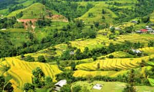 一年中的每个季节,杜吉亚·哈吉安(Du Gia Ha Giang)都穿着独立的美女
