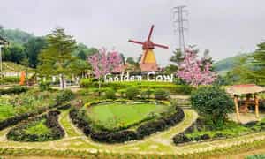 Golden Cow còn được biết đến với tên gọi nông trại Học Đường bởi đây là địa điểm thường xuyên được chọn làm nơi sinh hoạt, dã ngoại vui chơi cho các bạn nhỏ.