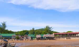Cua Hien nghe现在的海滩是许多游客在诗意与和平的美丽中休息和放松的景点之一。