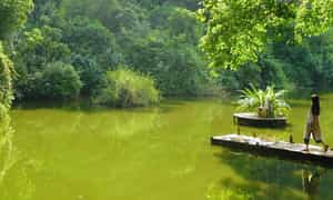 Quyet Mountain:Nghe Vinh City的“ Green Ngoc Vien”