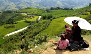 Ruộng lúa chín vàng bao quanh những nếp nhà nhỏ yên bình ở Bản Xèo.