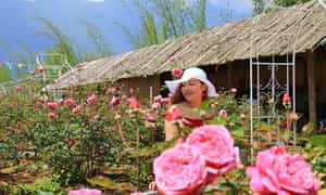 Sắc hồng phấn nhẹ nhàng càng tôn thêm sự xinh đẹp của phái nữ