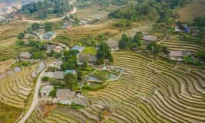 Bức tranh Bản Hồ Sapa rất nhẹ nhàng dưới sự hòa quyện của những nấc thang và cây xanh cao lớn