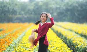 Nhiều loại hoa đa dạng cùng đua nhau nở rộ khoe sắc ở một góc ảnh đơn giản tại làng hoa Phú Mậu