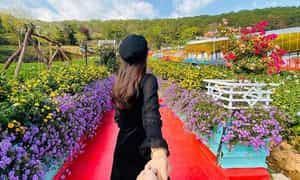 上花园的空间充满了花朵