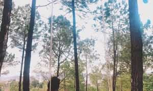 Happy Hills Quang Binh，Quang Binh Tourist Village的一个全新名字，但超级热。