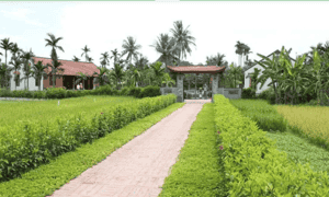Một góc khu du lịch làng quê Yên Đức