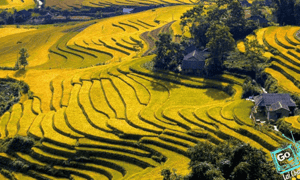 秋天也是塔冷的黄金季节，风景、云彩、天空交融在一起，营造出迷人的塔冷。