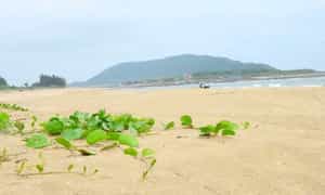 Khám phá bãi Đầu Đông, bãi Bến Hèn