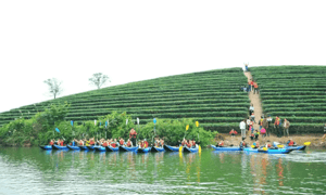 Thưởng thức không gian thiên nhiên tại đảo chè