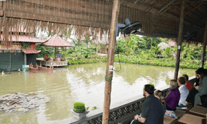 Du khách xem múa rối nước tại khu du lịch làng quê Yên Đức