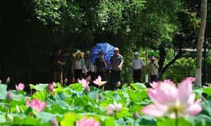 义安之旅期间参观胡伯伯的家乡森村
