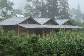 Gia Han Bungalow