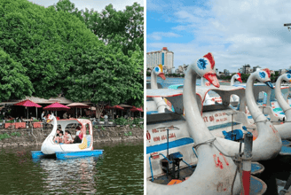 Không Gian Bình Yên: Đạp Vịt Hồ Tây Và Những Cảm Nhận Khó Quên