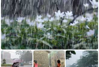 CƠN MƯA ĐẦU MÙA - HƠI THỞ CỦA ĐẤT TRỜI GIA LAI