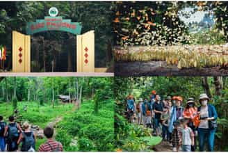 Vườn Quốc Gia Cúc Phương – Hành Trình Hòa Mình Vào Thiên Nhiên Hoang Dã
