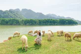 Cảm nhận vẻ đẹp thơ mộng tại Đồng cừu Gia Hưng Ninh Bình