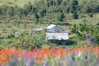 Thiện Mỹ Farm: Trải nghiệm độc đáo tại trang trại nông nghiệp hữu cơ