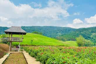 Một số kinh nghiệm hữu ích khi đến The Florest mà bạn cần biết