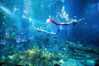 VinKE educational amusement park &amp; ​​Times City Hanoi Aquarium