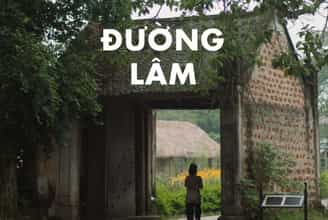 From Hanoi to Heritage: A Day in Duong Lam Ancient Village