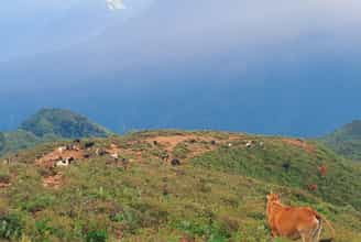 Kinh Nghiệm Trekking Tà Chì Nhù: Những Điều Bạn Cần Lưu Ý
