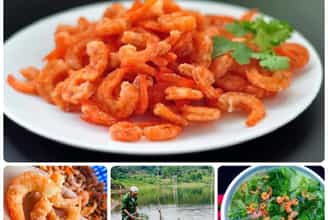 TÔM KHÔ BIỂN HỒ - ĐẶC SẢN GIA LAI