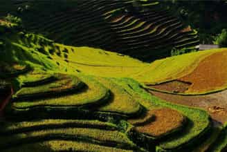 Golden Horizons: Why La Pan Tan is Vietnam’s Best Kept Secret