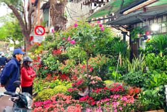 Mùa Xuân Rộn Ràng: Trải Nghiệm Sắc Màu 4 Chợ Hoa Khắp Hà Nội