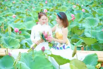 Chụp sen tại đầm Khả Phong Hà Nam có gì đặc biệt?