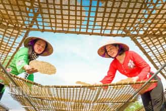 Sự Hấp Dẫn Không Thể Cưỡng Lại Từ Những Chiếc Bánh Đa Điềm Giang Tại Làng Nghề Truyền Thống