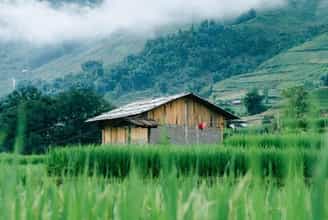 Bản Ta Van - Điểm Đến Hoàn Hảo Cho Những Tâm Hồn Yêu Thiên Nhiên