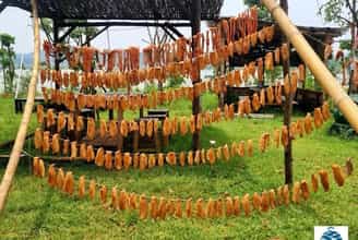 Cá một nắng - Đặc sản làng Mô