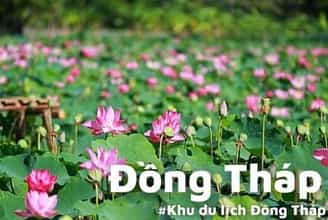 KHÁM PHÁ NHỮNG ĐIỂM DU LỊCH NỔI TIẾNG TẠI ĐỒNG THÁP
