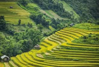 Hong Thai's Golden Season: A Perfect Destination for Nature Enthusiasts