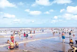 Khám phá hệ sinh thái Cồn Vành - viên ngọc xanh giữa biển khơi.