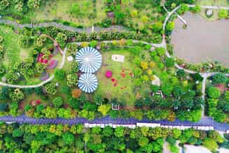 KHÁM PHÁ CÔNG VIÊN MÙA XUÂN ECOPARK TRONG VÒNG 1 NGÀY