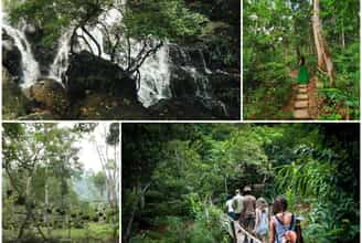 Vườn thực vật Phong Nha